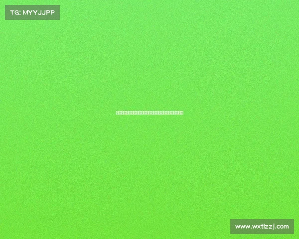 英媒：国米与阿森纳接触特罗萨德球员不满替补角色有意转会